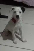 Sara