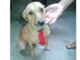 Boris