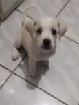 Nina