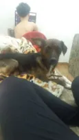Hera