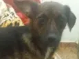 Hera