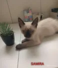 SOFIA, SAMIRA E LUNA