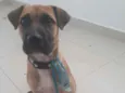 Spot