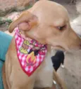 Teteco