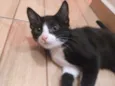 Jude