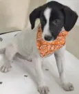 MUMUZINHO