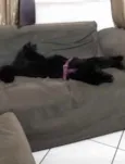 Lucy