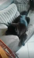 Lucy