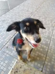 Não sei