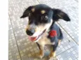 Não sei