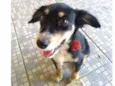 Não sei