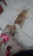 --