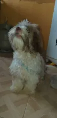 --