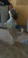 --