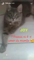 Joy