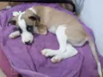 Billy