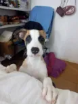 Billy