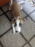 Billy