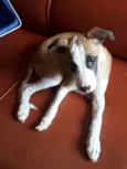 Billy
