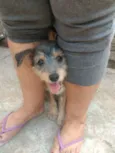 Amora