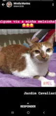Mel