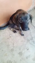 Júlio