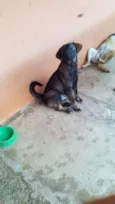 Júlio