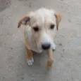Carla