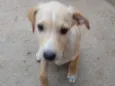 Carla