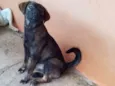 Júlio