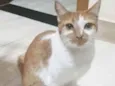 Mel