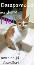 Mel