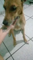 Nina