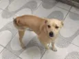Bob