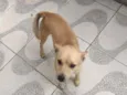 Bob