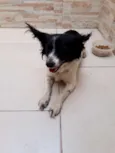 BILUZINHA