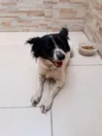 BILUZINHA