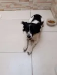 BILUZINHA