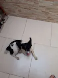 BILUZINHA
