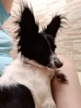 BILUZINHA