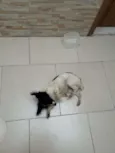 BILUZINHA