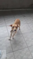 Nina