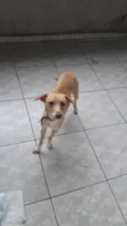 Nina