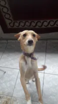 Nina