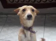 Nina