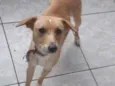 Nina