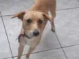 Nina