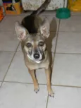 Lilla