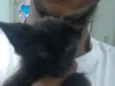 FELIX