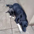 Uma família inteira